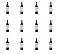 image-editor%2Fmultipack%2F1777031099455-r707-c1-x12.png