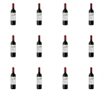 'Segal's Special Reserve Merlot Wino Czerwone Wytrawne 12% 0,75l X12