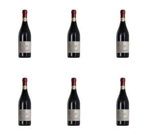 'Gran Passione Rosso IGT Veneto Czerwone wino wytrawne 14% 750 ml X6