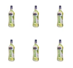 'Totino Mojito 12,5% 1l X6