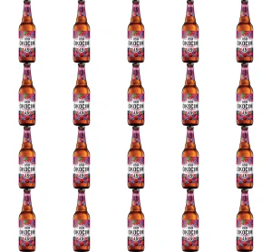 'Piwo Okocim Malina z borówką amerykańską 4,5% 500 ml butelka zwrotna X20