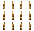 image-editor%2Fmultipack%2F1777032398636-r1893-c1-x12.png