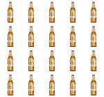 'Żywiec Białe Piwo pszeniczne 500 ml X20