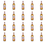 'Żywiec Piwo jasne 500 ml X20