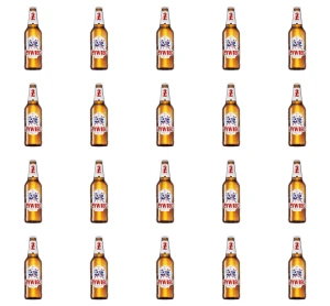 'Żywiec Piwo jasne 500 ml X20