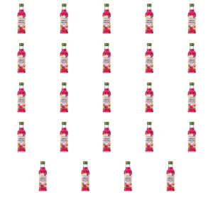 Soplica Smoczy Owoc Melon 21% 0,2L X24