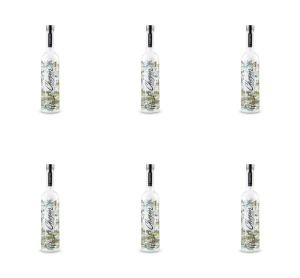Chopin Wódka Potato Vodka Polish Cities 40% 1l X6