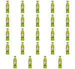 ABSOLWENT likier kiwi 23% 0,2L X24