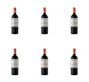 Frontera Carmenere 0,75l X6