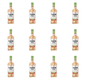 Żołądkowa Gorzka Arbuz z limonką 25% 500ml X12