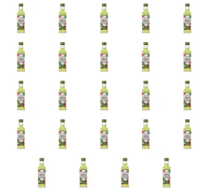 Soplica Kaktus Arbuz 200ml 21% X24