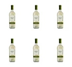 Armenian Yerev Classis white semi dry 0,75L X6