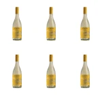 Cono Sur Bicicleta Chardonnay Wino Białe Półsłodkie 750 ml X6
