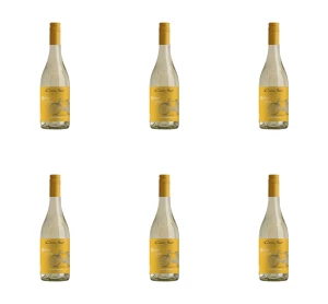 Cono Sur Bicicleta Chardonnay Wino Białe Półsłodkie 750 ml X6