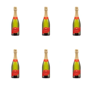Cava Monistrol Guarda Brut, wino musujące , białe wytrawne 750ml X6