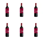 Cono Sur Bicicleta Cabernet Sauvignon, Wino Czerwone Półsłodkie 750 ml X6
