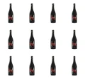 image-editor%2Fmultipack%2F1777032671245-r2194-c1-x12.png