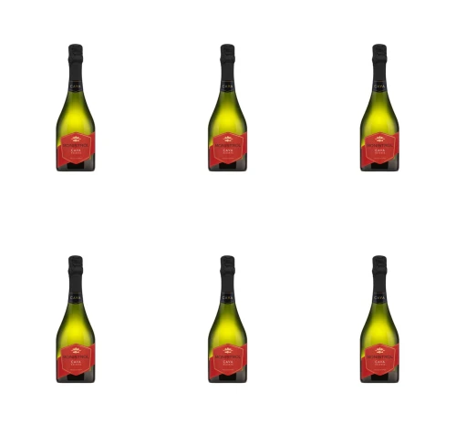image-editor%2Fmultipack%2F1777032679716-r2203-c1-x6.png