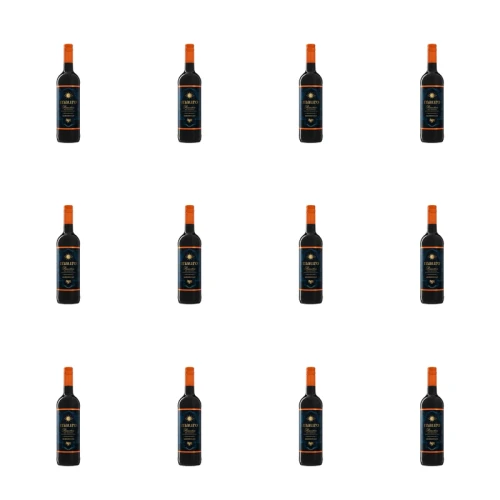 1773274416736-9795-2-x12-wm2sld.png