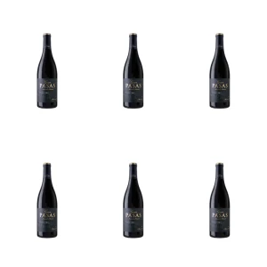 'GRAN PASAS MONASTRELL CW 14,5% 0,75L X6