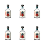 'Tequila Mi Campo Blanco 40 % 1000 ml X6