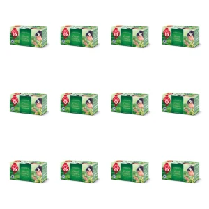 Herbata zielona Teekanne Green Tea Jasmine 20 torebek x 1,75g RFA X12