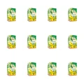 1773267298349-76-2-x12-othkw.png