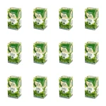 Zielnik Polski melisa 20tb/40g X12