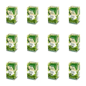 Zielnik Polski melisa 20tb/40g X12