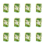 Zielnik Polski mięta 20tb/40g X12