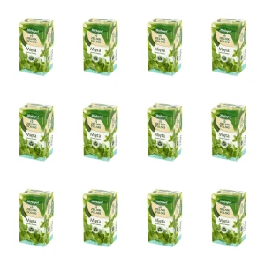 Zielnik Polski mięta 20tb/40g X12