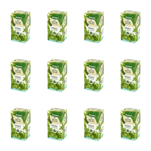 1773267302137-80-2-x12-efgqea.png