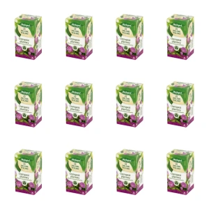 Zielnik Polski ostropest plamisty 20tb/40g X12