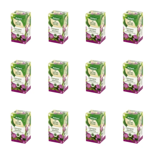 1773267302892-81-2-x12-mwssia.png