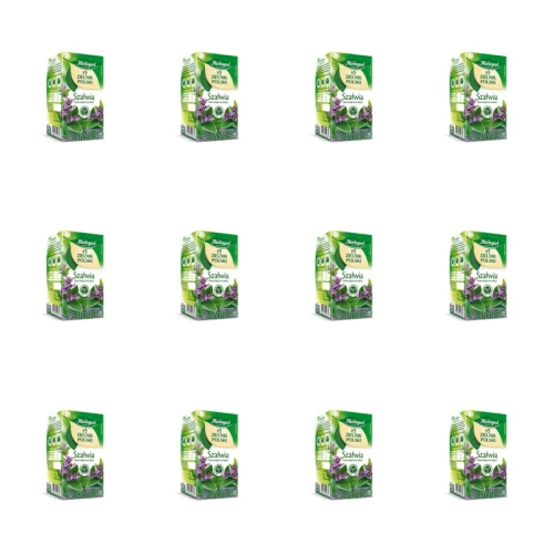 1773267303590-82-2-x12-y267ai.png