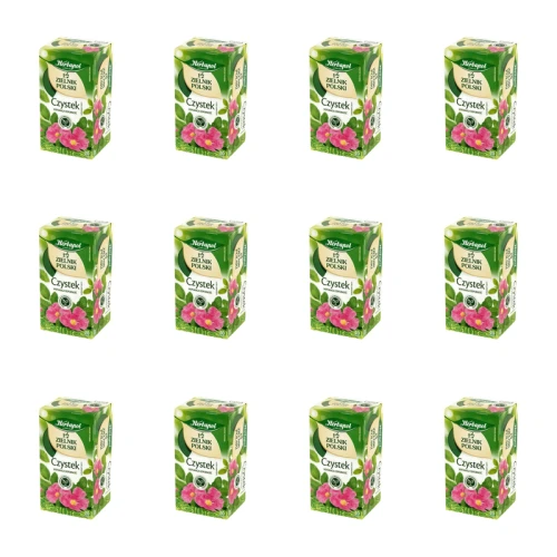 1773267304182-83-2-x12-g9oj4r.png