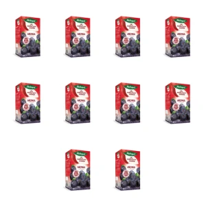 Herbapol Herbaciany Ogród herbatka owocowa aronia 20tb/70g X10