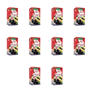 Herbaciany Ogród herbatka owocowa czarna porzeczka z cytryną 20tb/54g X10
