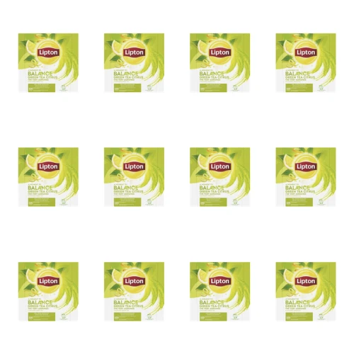 1773267806341-766-2-x12-zoln2a.png