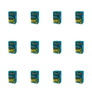Dilmah Green Tea Moroccan Mint 20x1,5 g X12