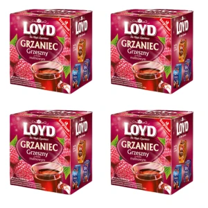LOYD Grzaniec grzeszny malinowy 30 g X4