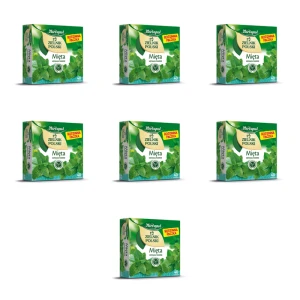 Zielnik Polski Mięta 40tb x 2g X7