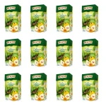 Big-Active Zielona herbata z owocem pigwy liściasta 100g X12