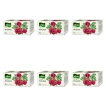Herbata Vitax Inspiracje Malina 20 torebek x 2g X6