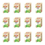 Malwa Herbatka ziołowa Morwa biała suplement diety 20x2g X12