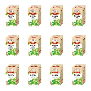 Malwa Herbatka ziołowa Morwa biała suplement diety 20x2g X12