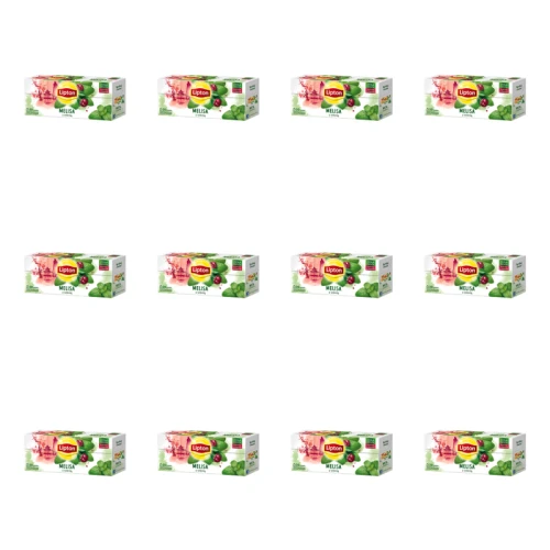 1773269303215-2819-2-x12-66h58b.png