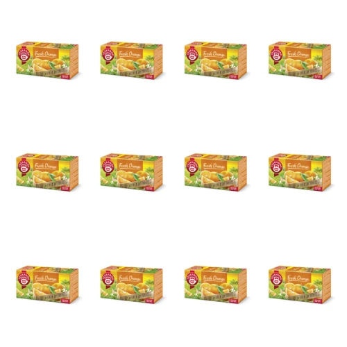 1773269307479-2826-2-x12-rukw0q.png