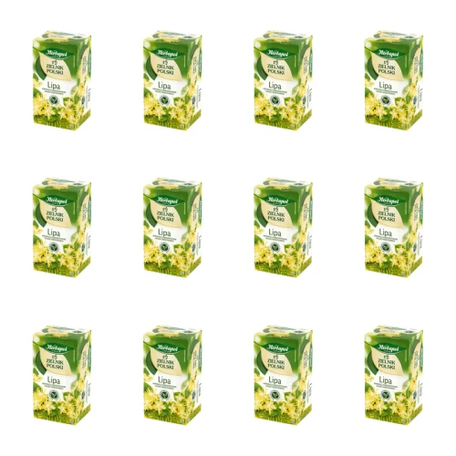 1773269311022-2831-2-x12-vsu0q.png