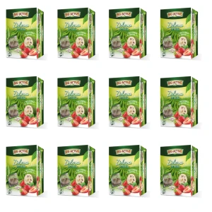 Big-Active - Herbata zielona z truskawką i graviolą (20tb x 1,5g) X12